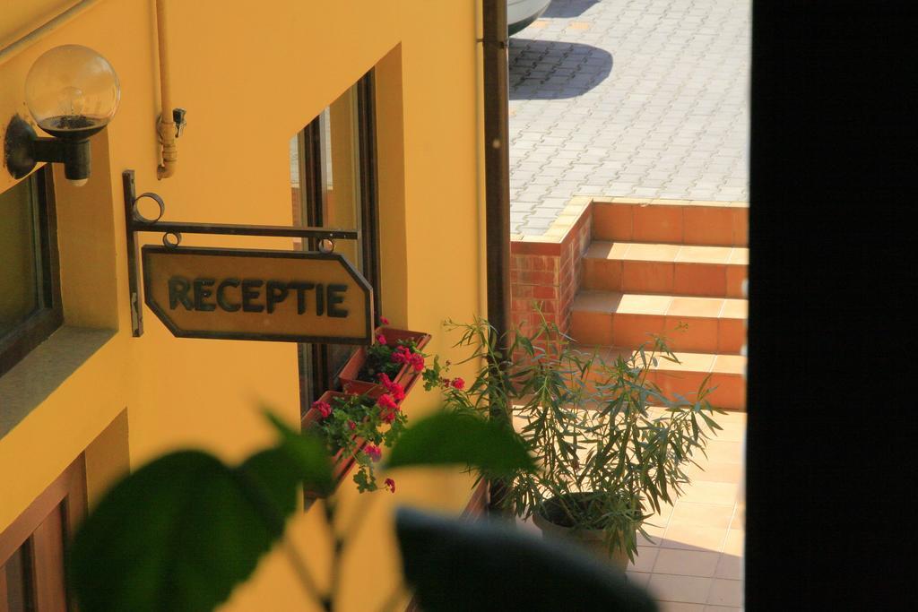 Pensiunea Blanca Reghin Εξωτερικό φωτογραφία